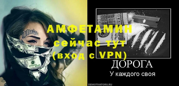 МДПВ Пересвет