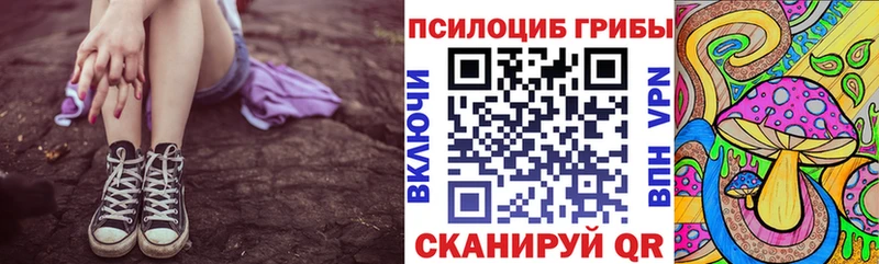 Галлюциногенные грибы Cubensis  Богородск 